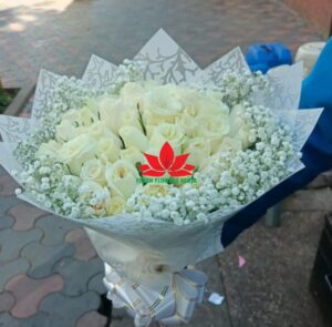 White rose, pure elegance