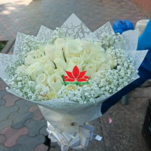 White rose, pure elegance