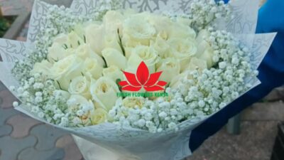 White rose, pure elegance