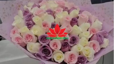 Promise petals
