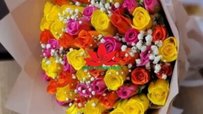 80 sweet stems