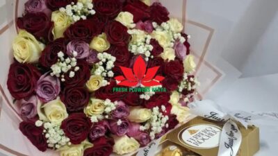 Royal bloom