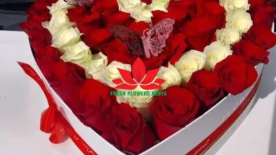 True love set
